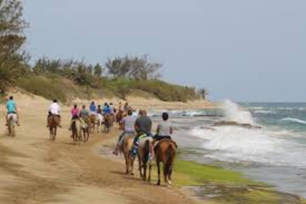 Haudimar Ph Beachfront Apt 4Br/3Bath Isabela Exterior foto